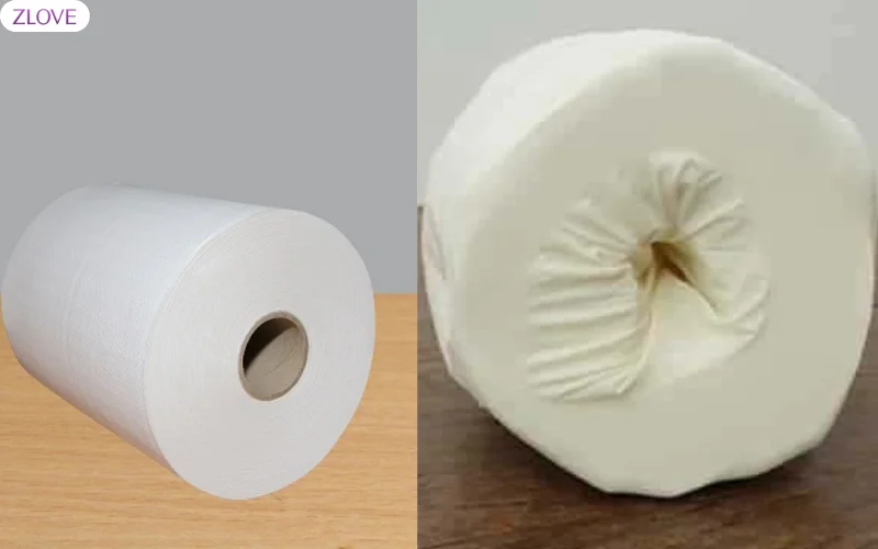 Cách làm âm đạo giả bằng giấy vệ sinh 