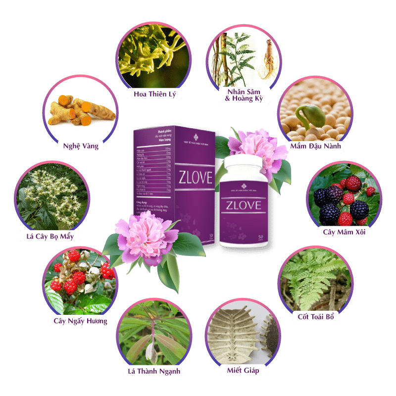 thuc pham chuc nang zlove ho tro thu nho vung kin an toan hieu qua trong thanh phan chua toi 10 loai thao duoc thien nhien quy tai viet nam