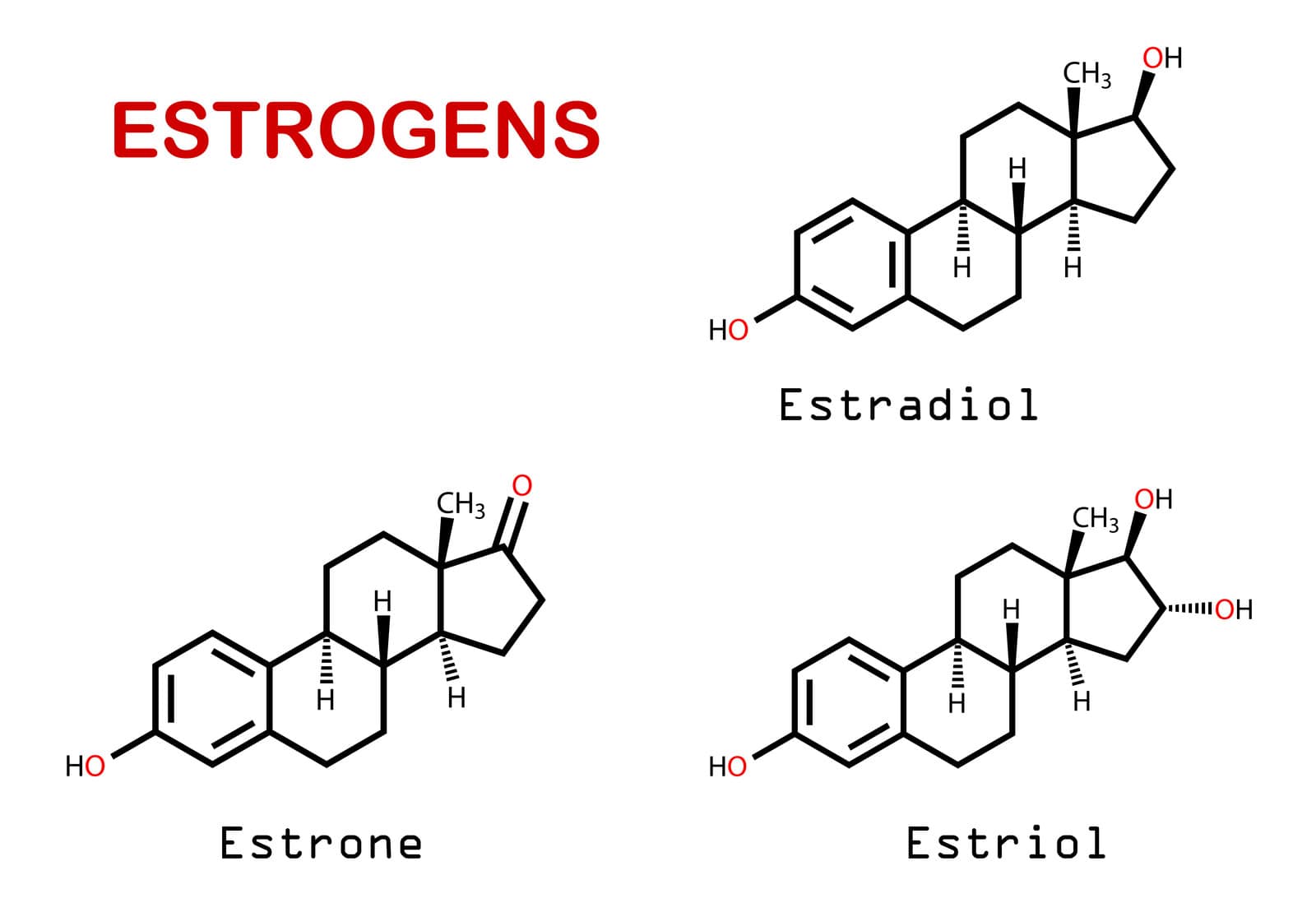 Cấu trúc estrogen