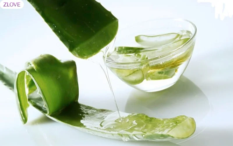 Gel nha đam giúp làm dịu vùng kín đang bị ngứa hiệu quả