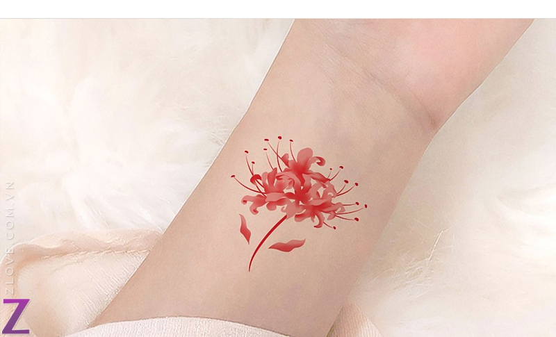 18 mẫu hình xăm hoa bỉ ngạn cực đẹp   Red Spider LiLy Tattoos  YouTube