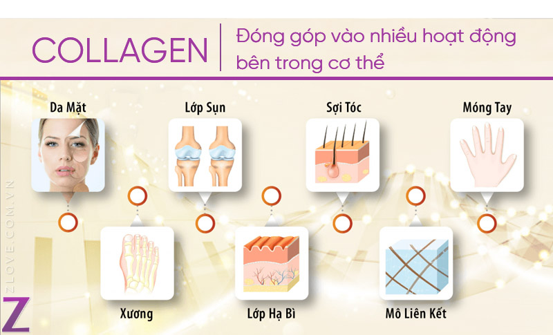 uong-collagen-hay-bo-sung-noi-tiet-to-1.jpg