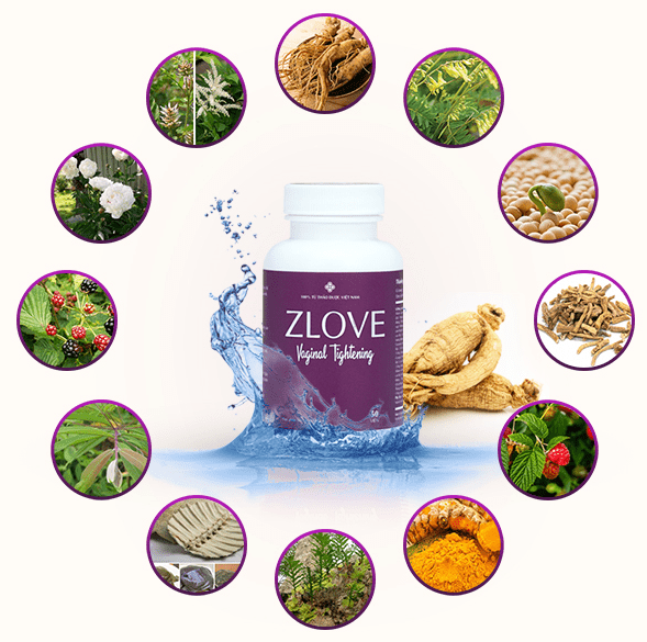 Viên uống Zlove được phát triển từ bài thuốc Hoàn Tân, giúp cân bằng nội tiết tố nữ, giảm các triệu chứng trầm cảm sau sinh